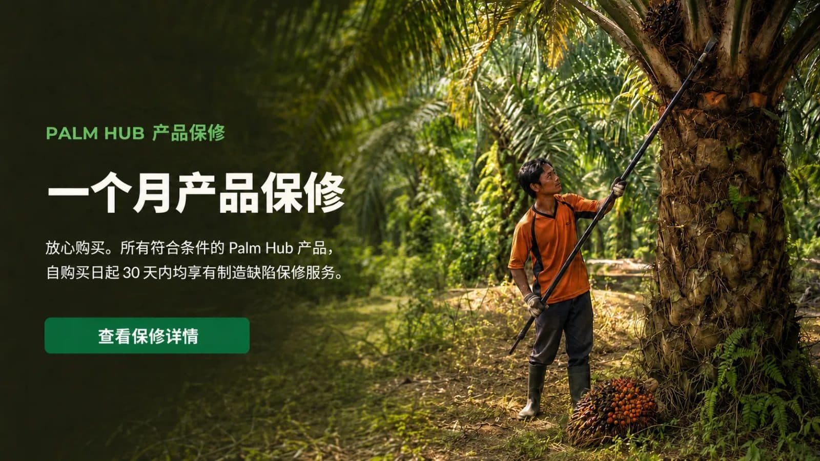 Palm Hub 的保修政策